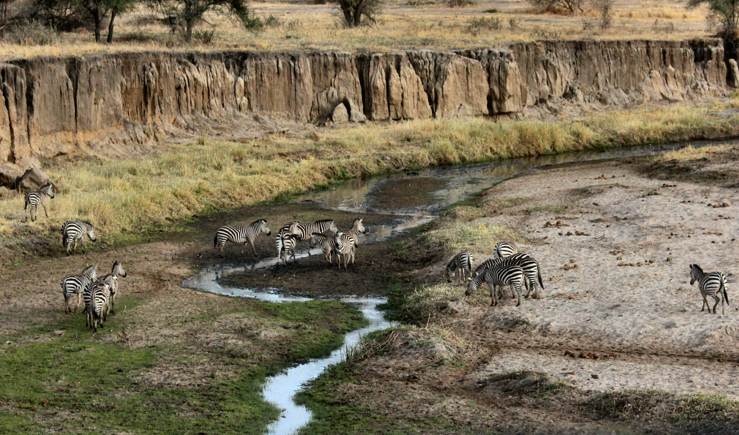 TANZANIA