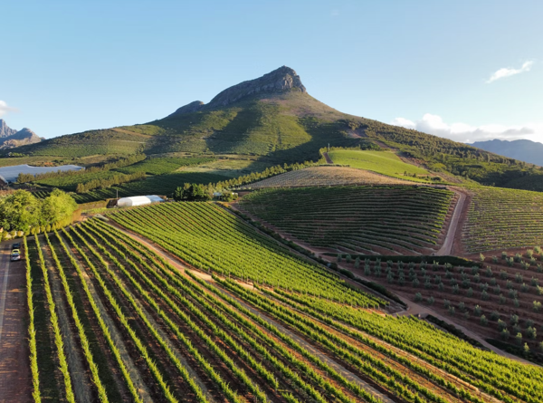 WINELANDS – WESTERN CAPE